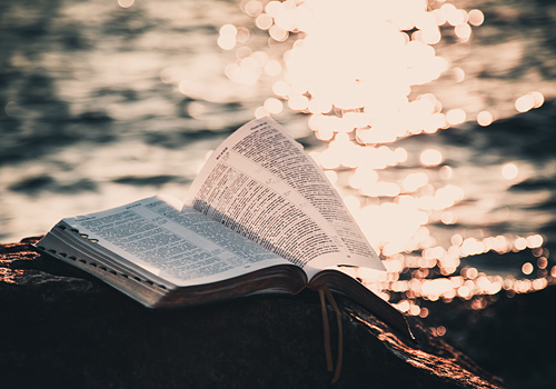 How to Read the Bible - Christ.net.au