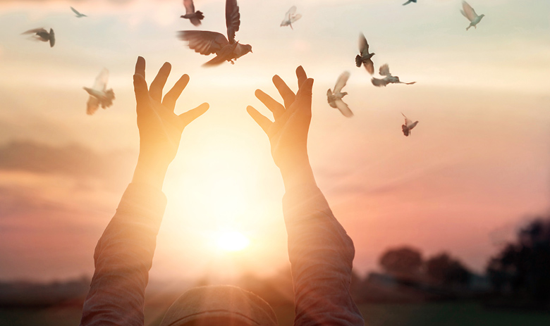 The Paradox of Losing Your Life to Find It - Christ.net.au