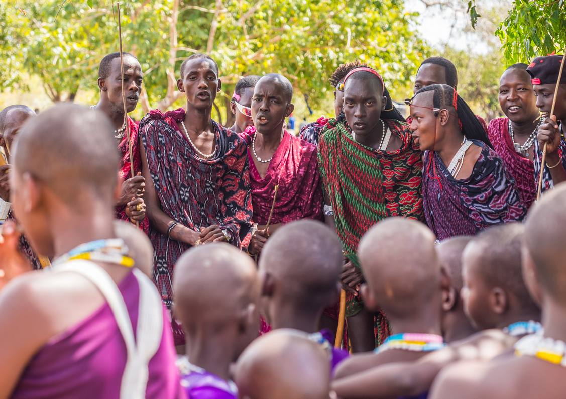 Maasai young men dancing and singing during the ceremony of transition in Tanzania. Maasai young men dancing and singing during the ceremony of transition in Tanzania.