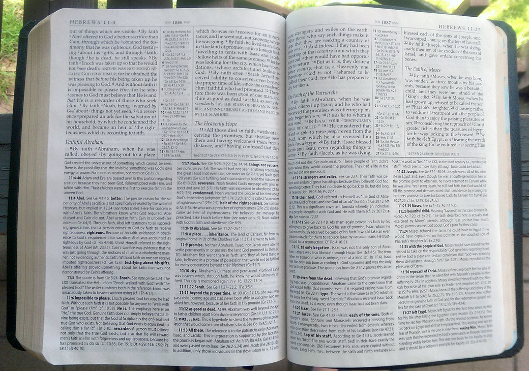 I love study Bibles, but I can understand that this much information, packed so densely, can sometimes seem intimidating. I love study Bibles, but I can understand that this much information, packed so densely, can sometimes seem intimidating.