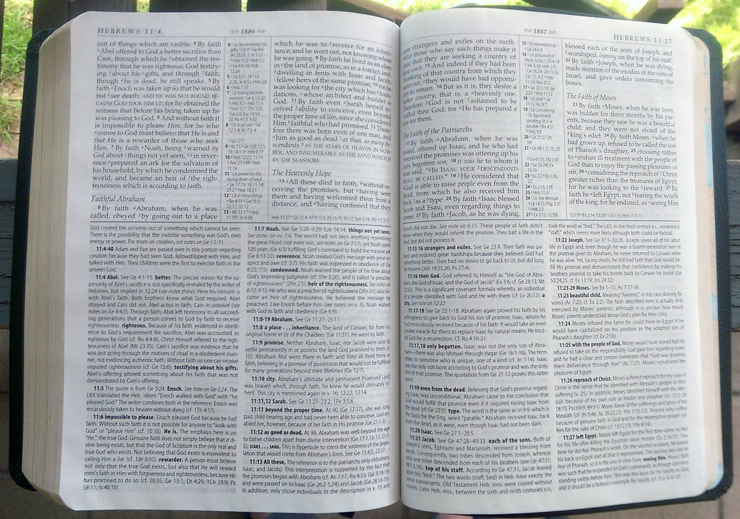 I love study Bibles, but I can understand that this much information, packed so densely, can sometimes seem intimidating.